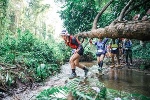 BIB: 
                            <button type="button" onclick="openModal(25474487)" class="btn btn-primary btn-sm float-right btn-popup" data-toggle="modal" data-target=".modal-high-quality">
                        <i class="fas fa-shopping-cart"></i> Add to Cart
                    </button>
                                            <button type="button" onclick="isThisMe(25474487, true)" class="btn btn-success btn-sm float-right btn-popup btn-isme hidden" data-toggle="tooltip" data-placement="bottom" title="นี่คือรูปของคุณใช่ไหม คลิกที่นี่เพื่อเอาเข้าอัลบั้ม">
                        <i class="fas fa-plus"></i> Add to album
                    </button>
                    <button type="button" onclick="isThisMe(25474487, false)" class="btn btn-warning btn-sm float-right btn-popup btn-isnotme hidden">
                        <i class="fas fa-ban"></i> Remove from album
                    </button>